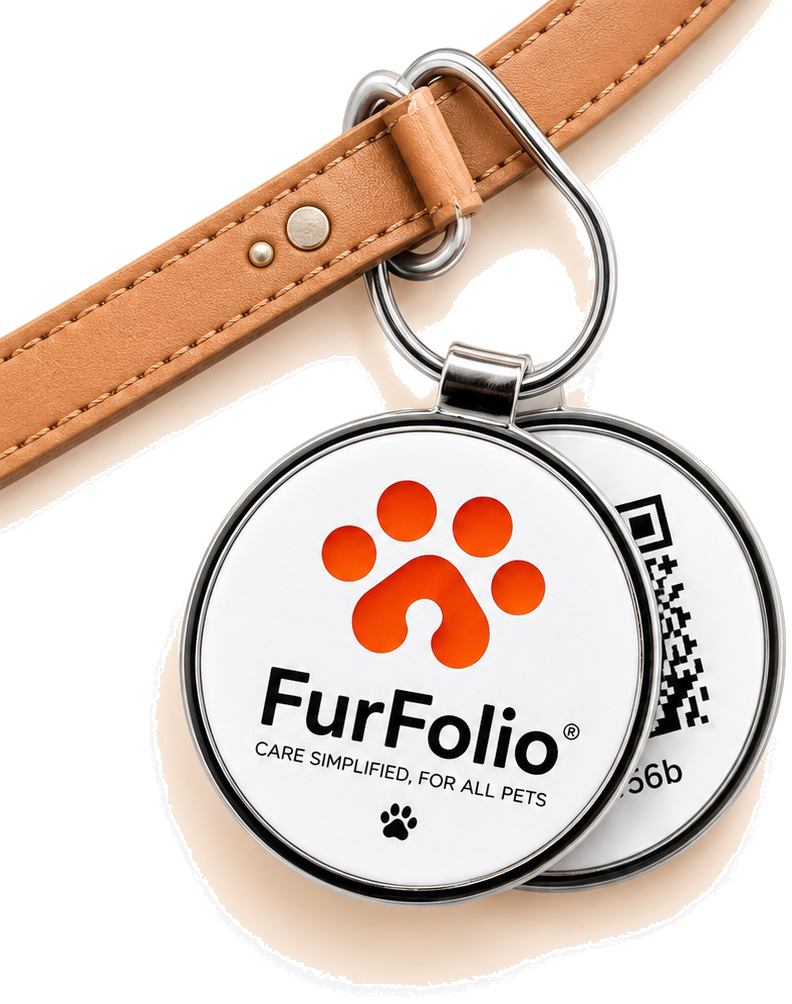 Dog wearing the FurFolio Smart QR tag
